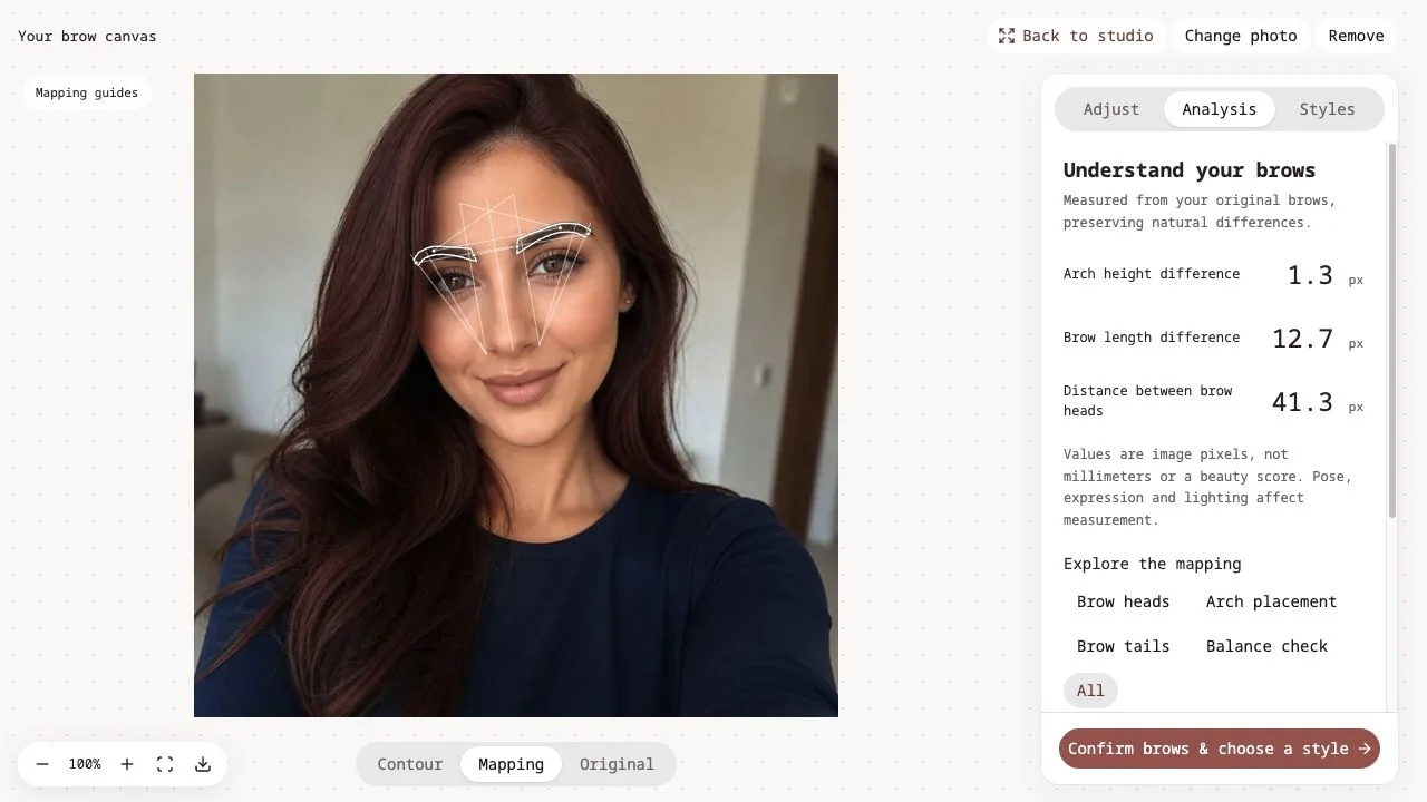Browlens editor with an official sample portrait, eyebrow mapping and the image-pixel balance report